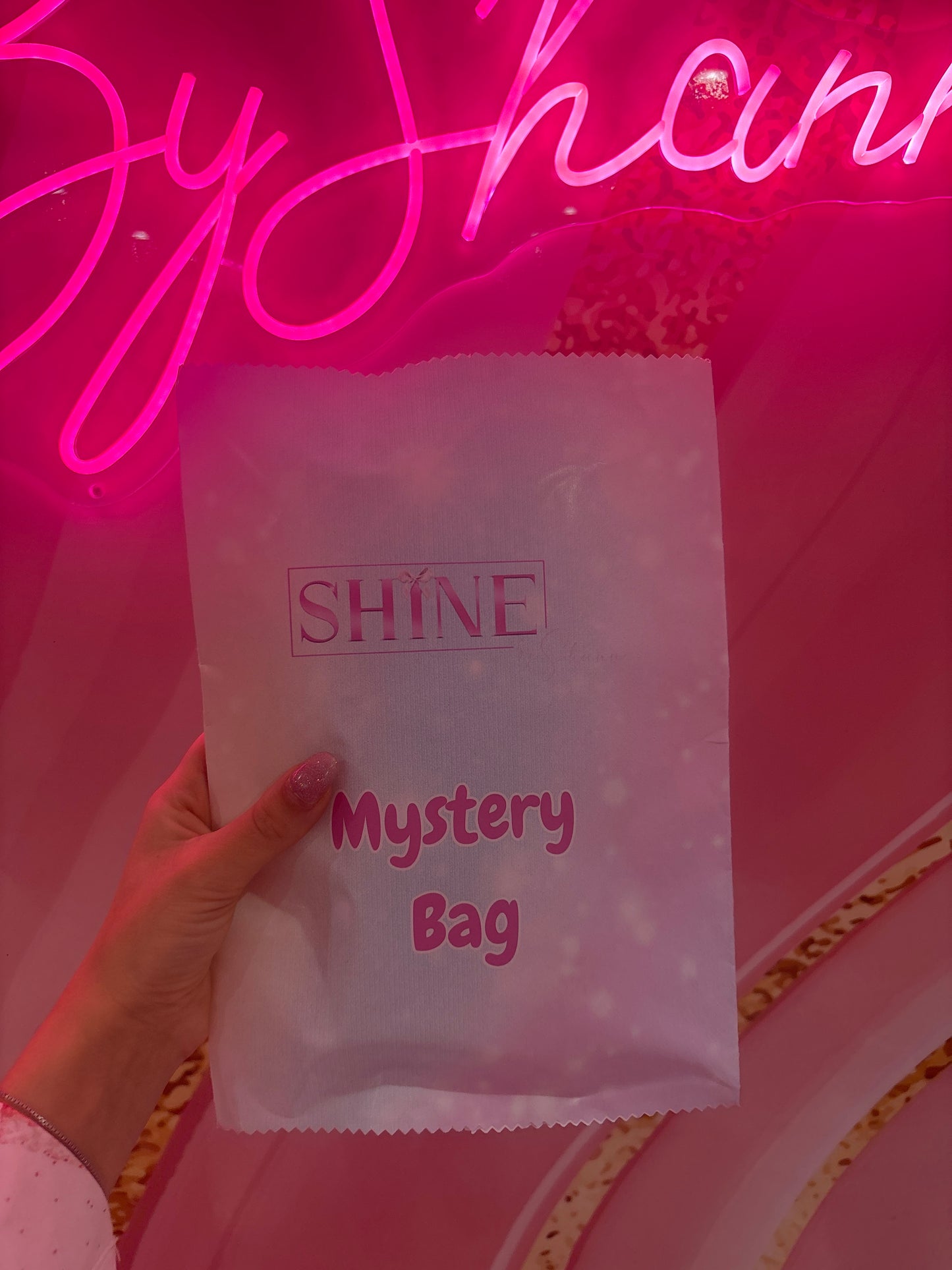 Large Mystery bag